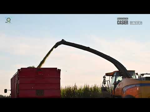 Loonwerken CASIER - gras & mais hakselen