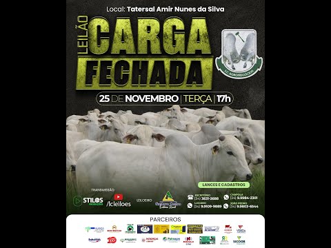 LEILÃO CARGA FECHADA 25/11/2025 - LC LEILÕES - PATROCÍNIO-MG