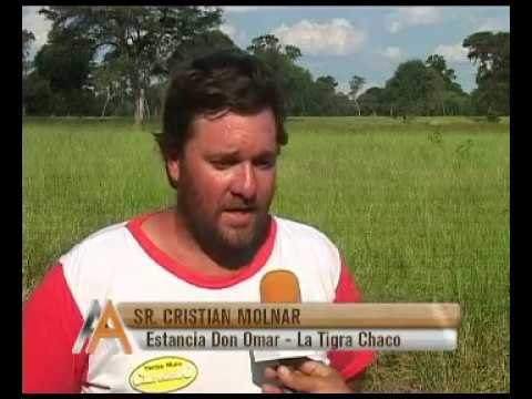 Estancia Don Omar La Tigra Chaco 1