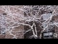 Tombe la neige - Падает снег - The snow falls 