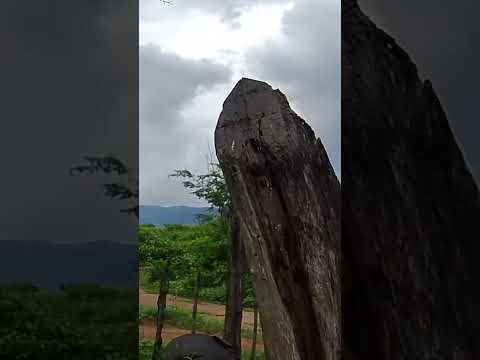 #nordeste ico Ceará