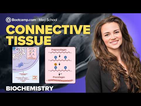Biochemistry Chapter 3 | Connective Tissue: Collagen, EDS, OI, Menkes & Marfan