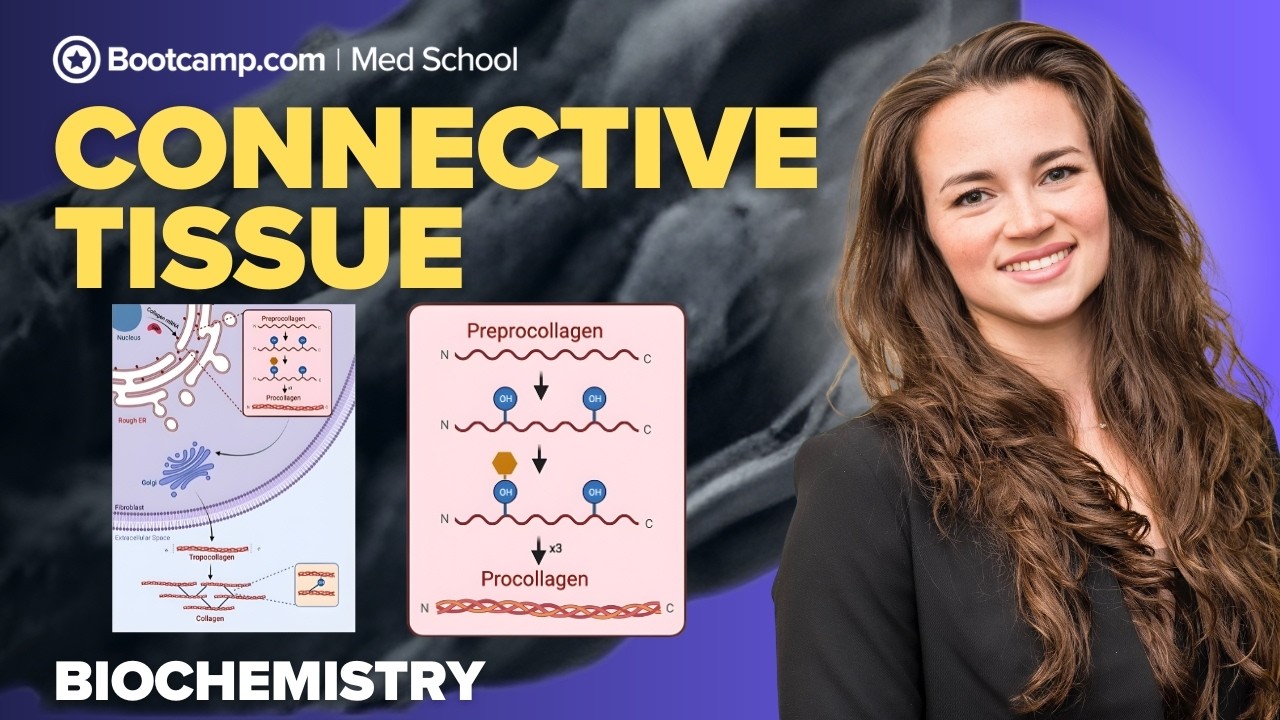 Biochemistry Chapter 3 | Connective Tissue: Collagen, EDS, OI, Menkes & Marfan
