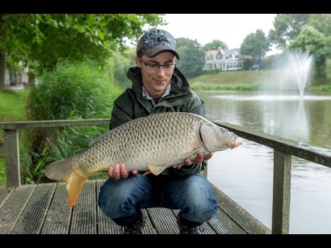 Fish magazine TV - Zeeland carp