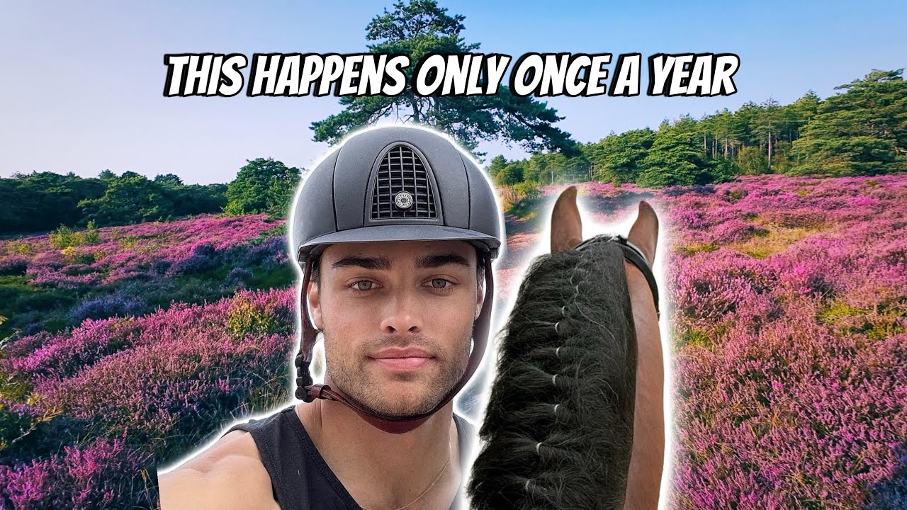 MAGICAL TRAIL RIDE THROUGH PURPLE DUNES ON MY STALLION