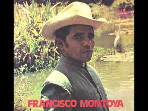 Francisco Montoya   Apure En Un Viaje El Tigre De Payara