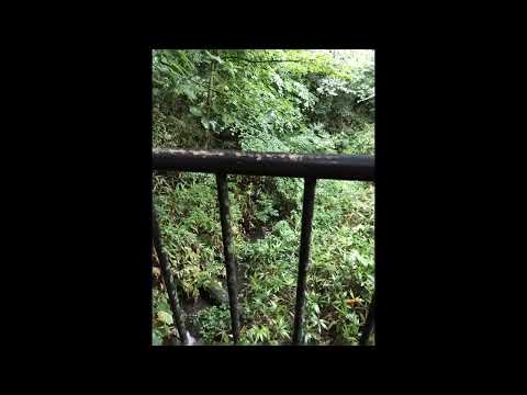 Paisagem natural da vila de montanhas termais Dankon flores (setembro de 2023)