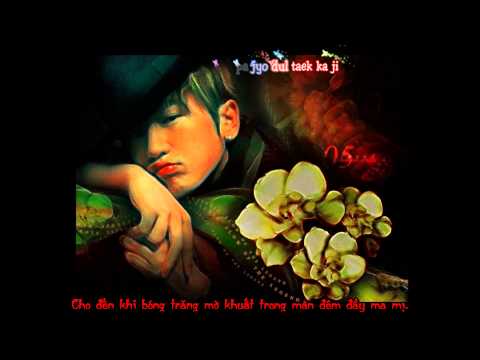 [vietsub+kara]Masquerade-Lee Minwoo(M) feat. Bigtone ver. 2