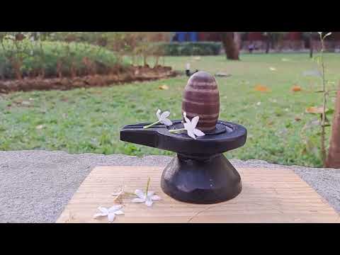 Tilak of Lord Shiva Narmada Shivlingam with Yonibase video