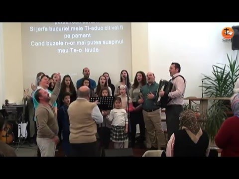 Gosen 31.01.2016 - dum dimineata (Todor Nelutu)