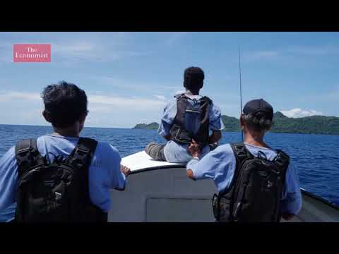 Can tourism help save the ocean?