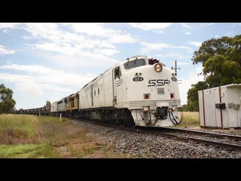 CLF3-S311-602-CLP12 4CM6 loaded SSR grain 10/11/21