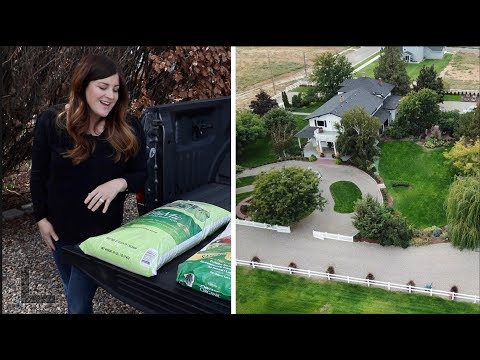 How we Fertilize our Lawn 🌿☀️💚// Garden Answer