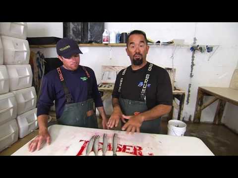 Fly Zone Fishing Difference between J-hook and Circle hook Ballyhoo riggs!!!