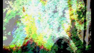 Modest Mouse - Worms Vs. Birds