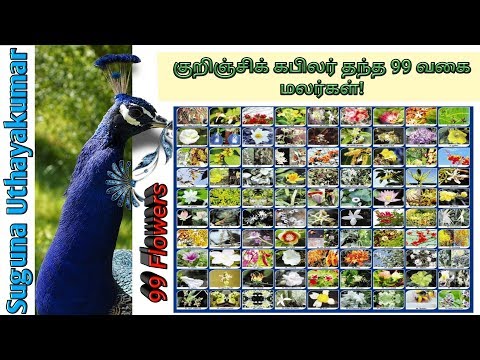 🌷99 Flowers by Kabilar in Kurinji Song | குறிஞ்சி பாடலில் கபிலர் குறிப்பிட்ட 99 மலர்கள் / பூக்கள்