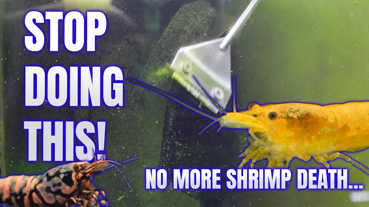 Preparing for a Holiday?