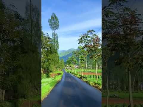 Dapatkan pengalaman tak terlupakan di puncak gunung! Siap untuk petualangan seru? 🏔️✨