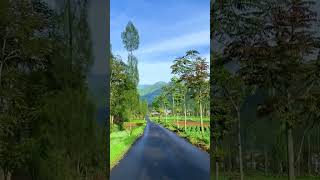 Download lagu Gunung Terindah Indonesia Dengan Pemandangan Alam nya yang sejuk,The Most Baeutiful Mountain mp3 Download lagu Gunung Terindah Indonesia Dengan Pemandangan Alam nya yang sejuk,The Most Baeutiful Mountain mp3