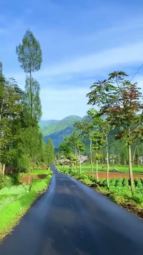 Dapatkan pengalaman tak terlupakan di puncak gunung! Siap untuk petualangan seru? 🏔️✨