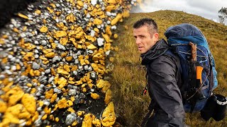 ES IST MILLIONEN WERT und ICH HABE ES GERADE GEFUNDEN!!