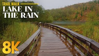 8K HDR Virtual Rain Walk on Birth of a Lake Trail | Foggy Forest, Wet Paths & Real Rain Sounds