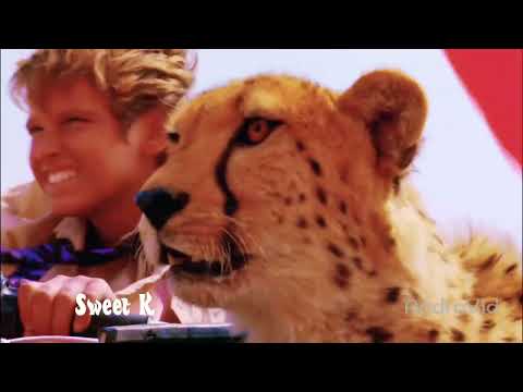 Duma (2005 film) || Ma Chérie (DJ Antoine vs Mad Mark 2k12 Edit)