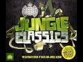 02. M-Beat Feat. General Levy - Incredible (Jungle Classics)