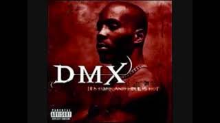DMX What These B Want