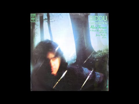 Biddu Orchestra - You Don't Stand A Chance (1976)