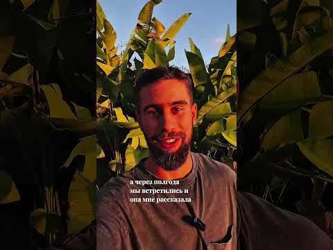 Видеоотзыв