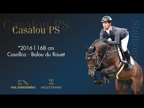 Casalou PS - Jumping Collection Schockemoehle & Helgstrand 2022 (ENG)