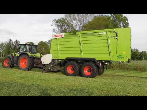 1. Schnitt 2020 - Claas Arion 660 - Claas Cargos 8400