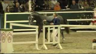 Video von Cristallo II