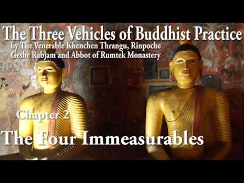 The Four Immeasurables