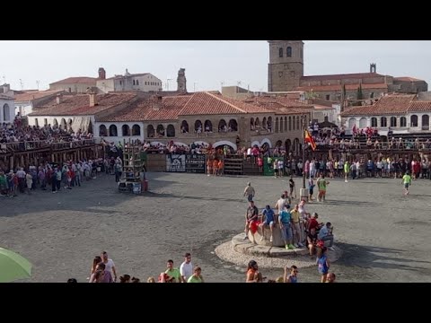 Festejos taurinos - Directo Alko tv