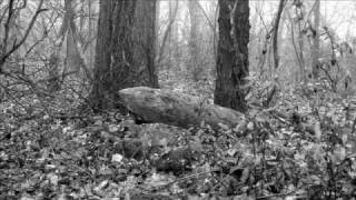 Cruachan - The March to Cluain Tarbh