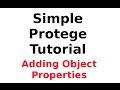 A Simple Protege Tutorial 3: Adding Object ...