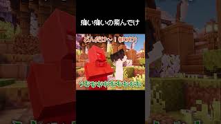 「痛い痛いの飛んでけ～！」をされる瞬間 #マイクラ #コント #茶番