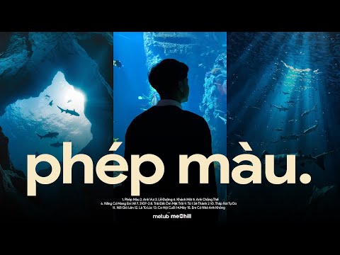 Phép Màu, Lễ Đường - Chẳng Phải Phép Màu Vậy Sao ♬ BXH Nhạc Lofi Chill Top Xu Hướng 2025 Triệu View