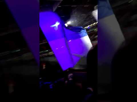 Wild Wings Fan Song ♡