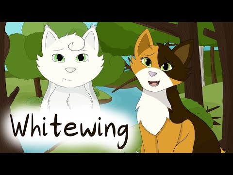 Whitewing – Sunny's Spiel | Warriors Analysis
