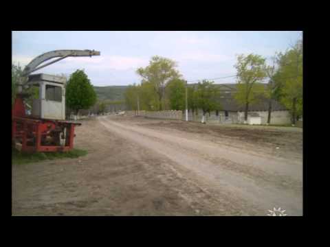 Satul meu natal - Scorțeni