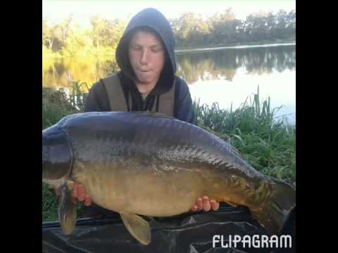 Extreme peche scorpio baits