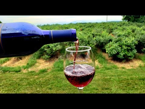 Charlotte Village Winery