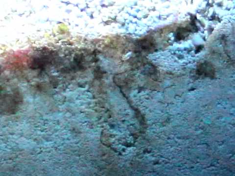 MVI 0169