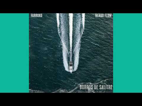 Farruko Ft Ñengo Flow -Burros De Salitre (Audio Oficial)