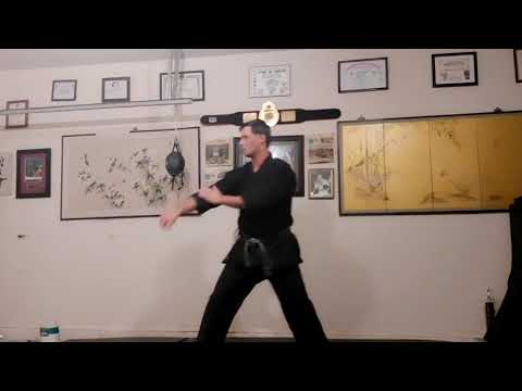 Naihanchi 3 – Sensei Stephen Jeckel