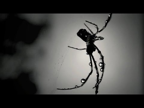 dark spirits (a future garage mix)