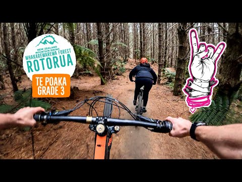 Te Poaka - Trail preview Mud Maidens Enduro 2022 , Rotorua